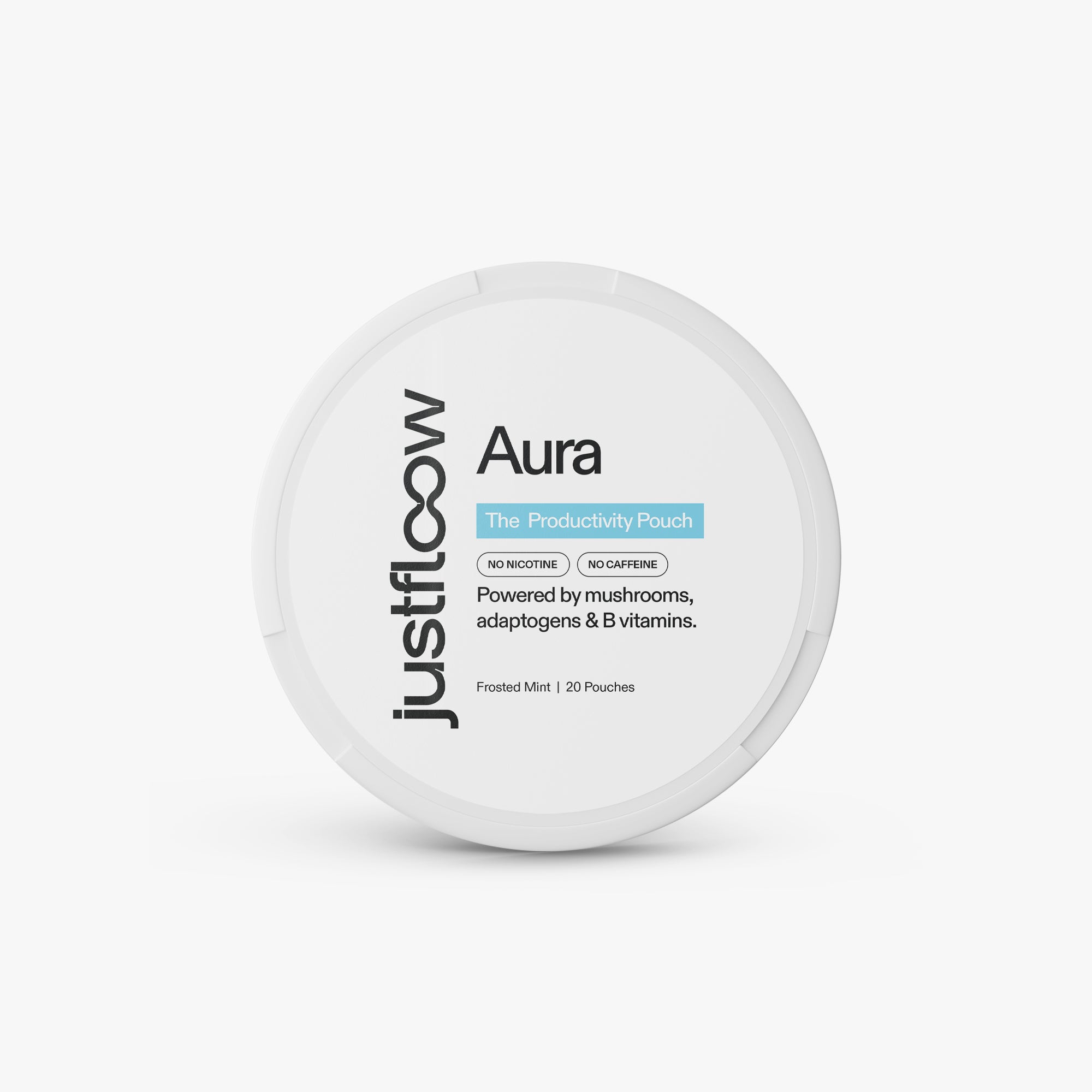 Aura - The Productivity Pouch, Frosted Mint